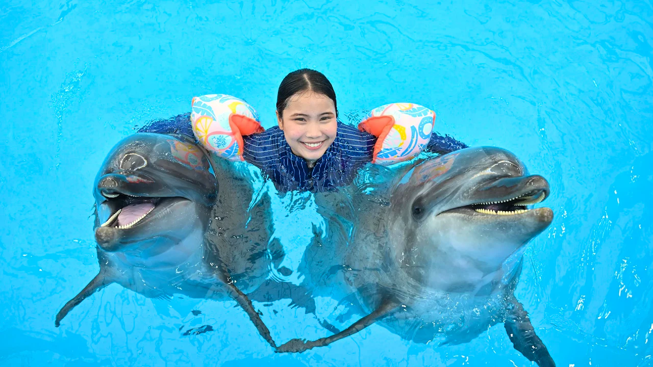 Combo: Pattaya Dolphinarium and Khao Kheow Open Zoo Discount