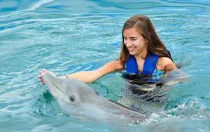 Combo: Pattaya Dolphinarium and Khao Kheow Open Zoo