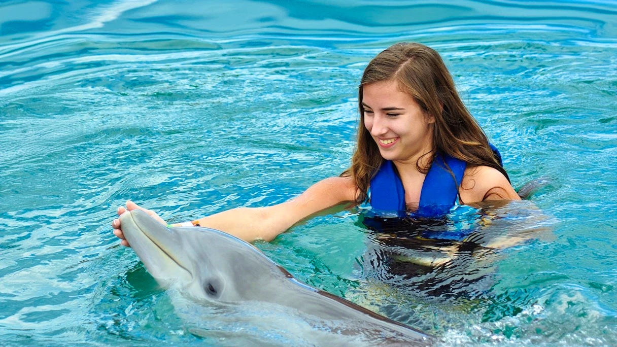 Combo: Pattaya Dolphinarium and Khao Kheow Open Zoo