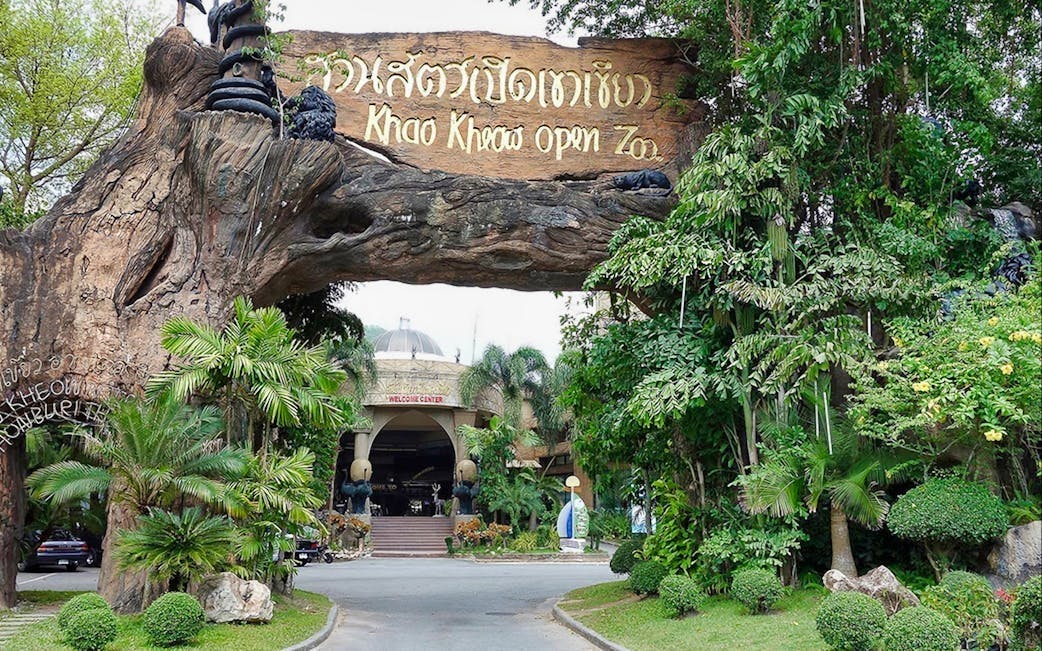 Combo: Pattaya Dolphinarium and Khao Kheow Open Zoo Category
