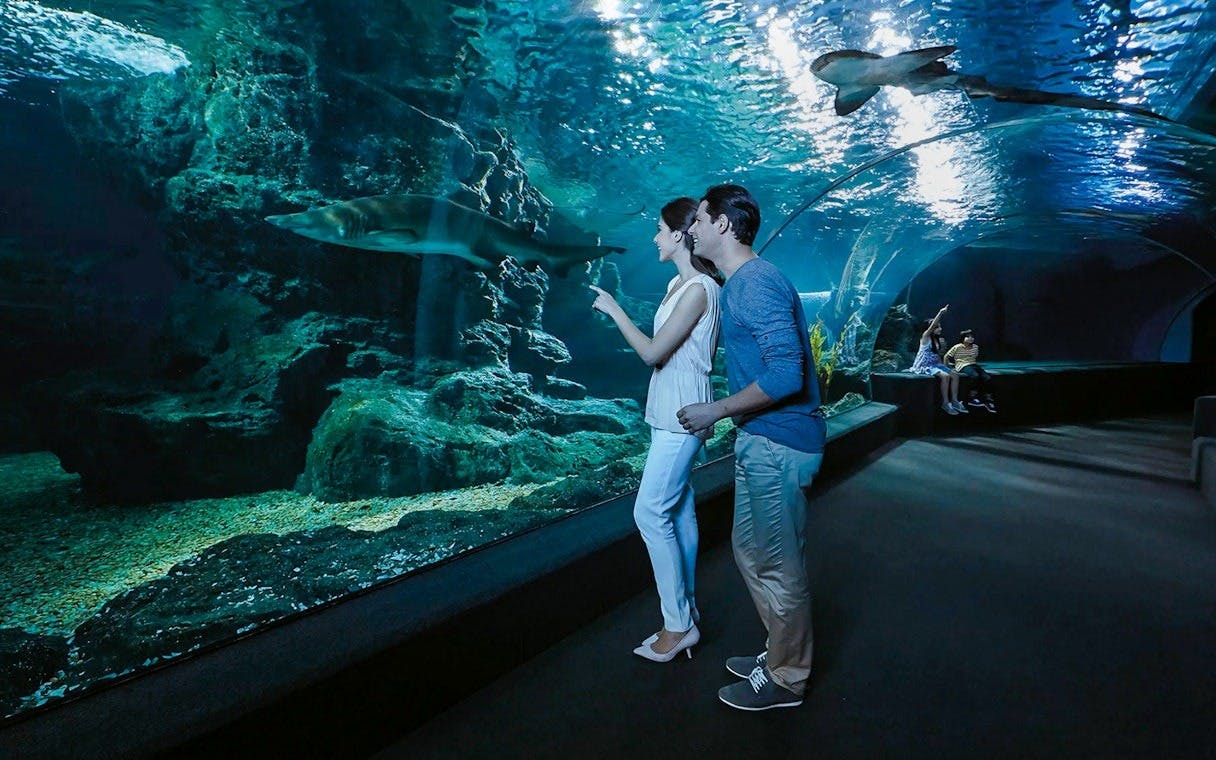 Jurassic World and Sea Life Bangkok Combo Tickets Review