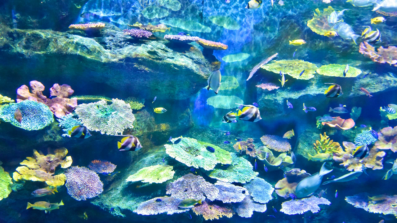 Jurassic World and Sea Life Bangkok Combo Tickets