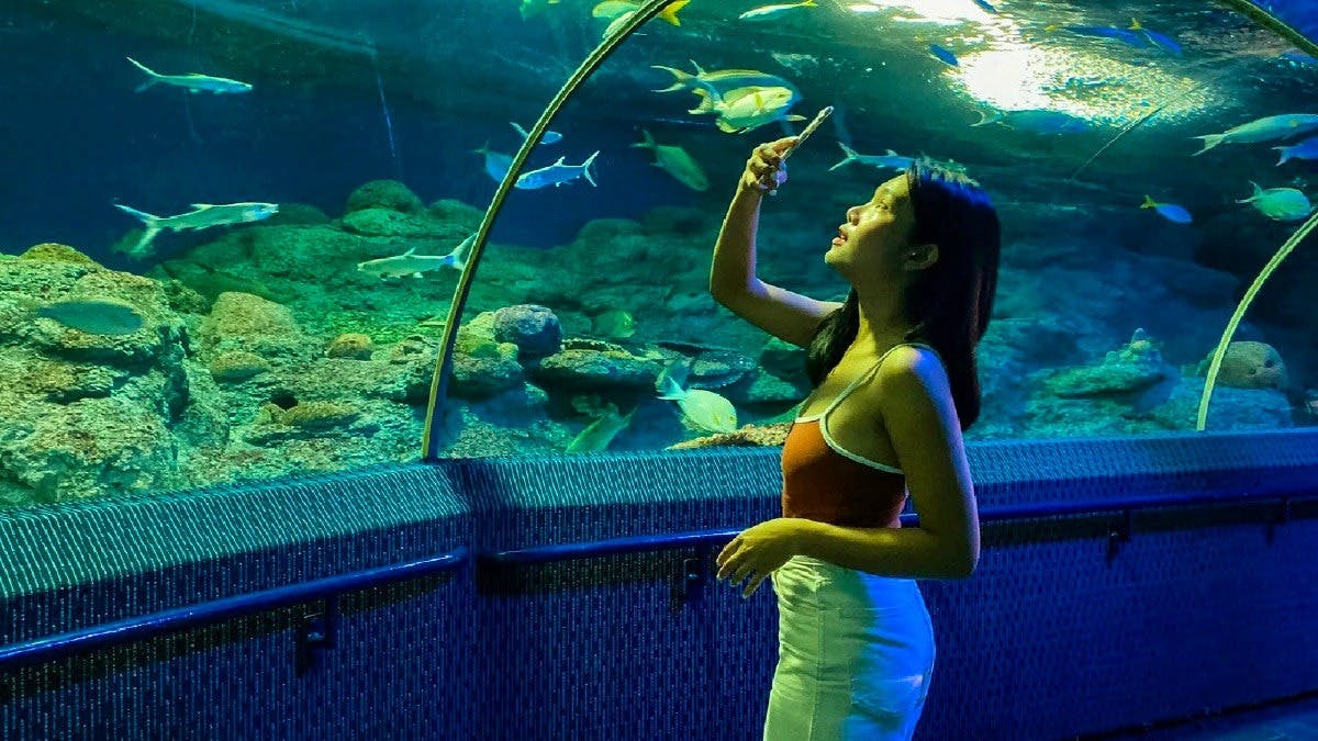 Underwater World Pattaya with Floating Market Combo Tickets Location