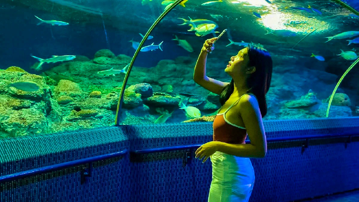 Underwater World Pattaya with Floating Market Combo Tickets Location