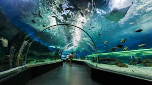 Underwater World Pattaya with Floating Market Combo Tickets