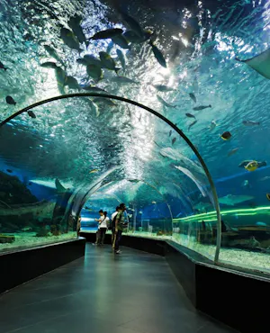 Underwater World Pattaya with Floating Market Combo Tickets