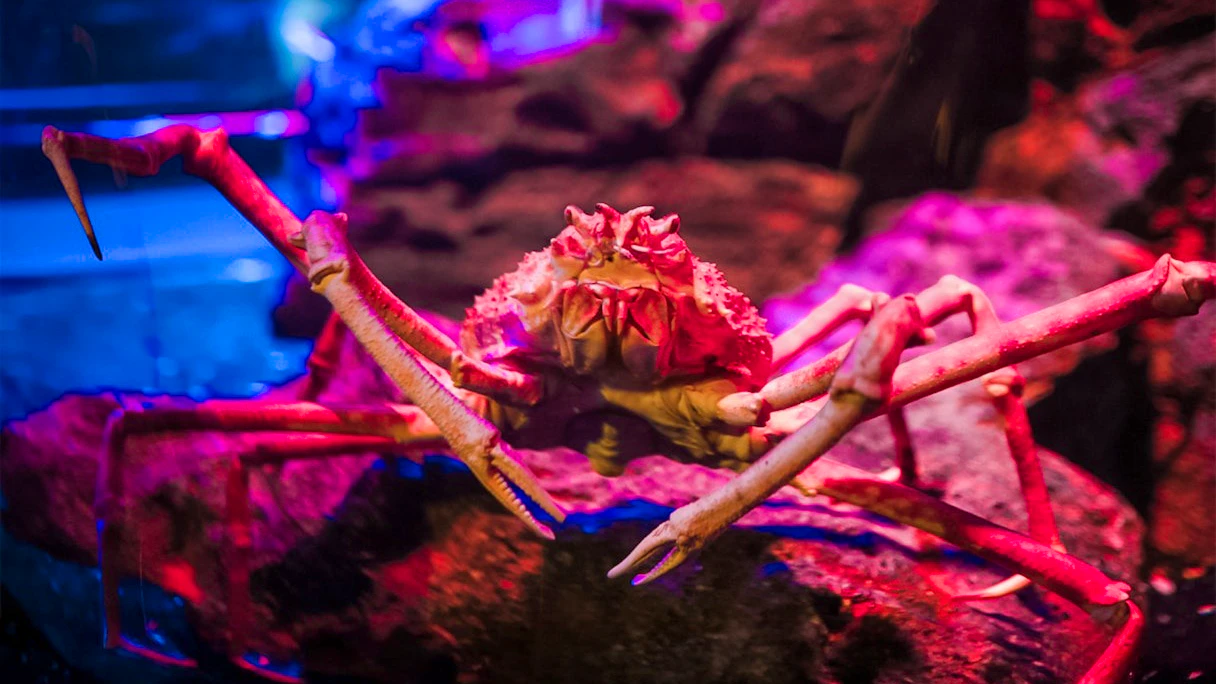 Sea Life Bangkok & Madame Tussauds Combo Tickets Location