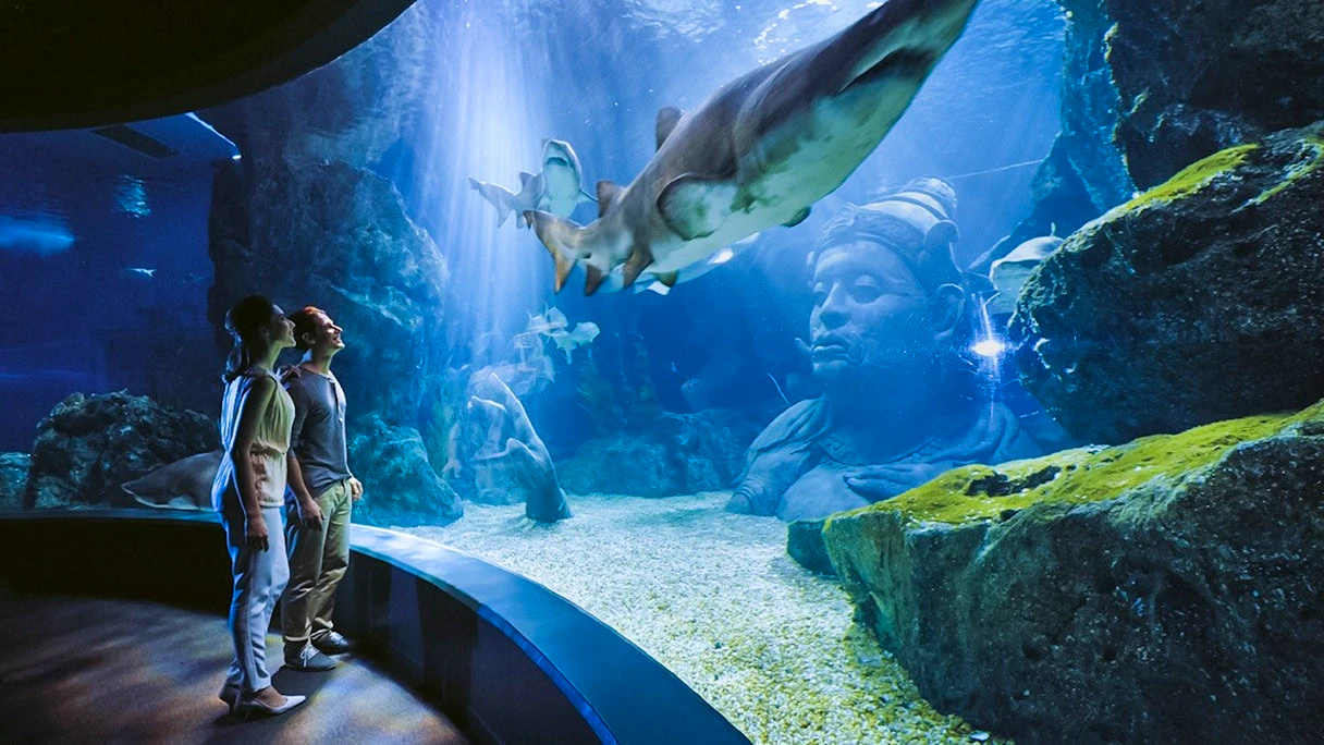 Sea Life Bangkok & Madame Tussauds Combo Tickets
