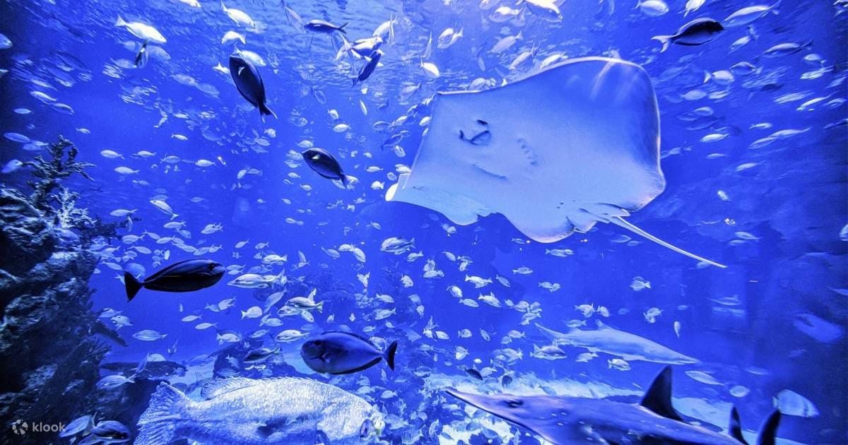 Combo: Andamanda Phuket and Aquaria Phuket 