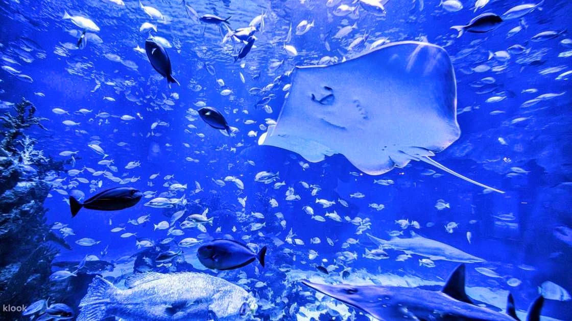 Combo: Andamanda Phuket and Aquaria Phuket