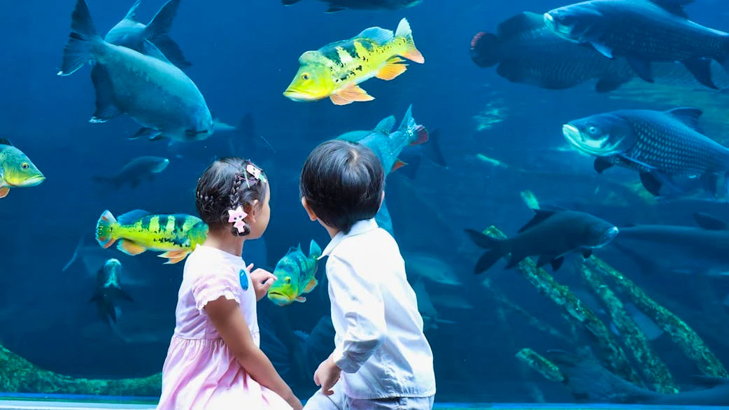 Combo: Andamanda Phuket and Aquaria Phuket Thrillark