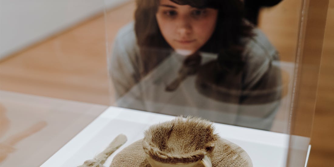 The Museum of Modern Art (MoMA) Admission Ticket  Category