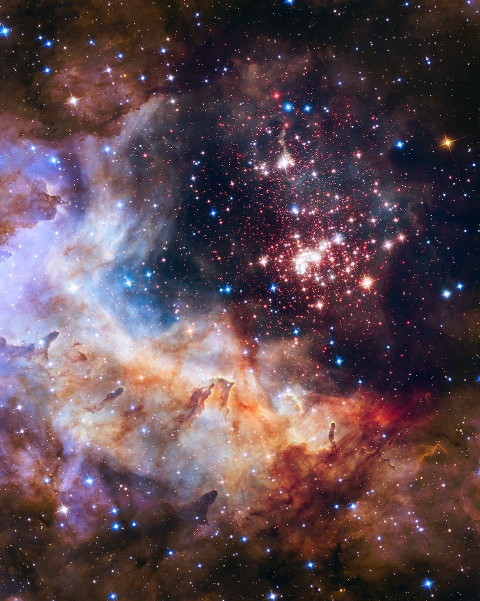 American Museum of Natural History Ticket Location