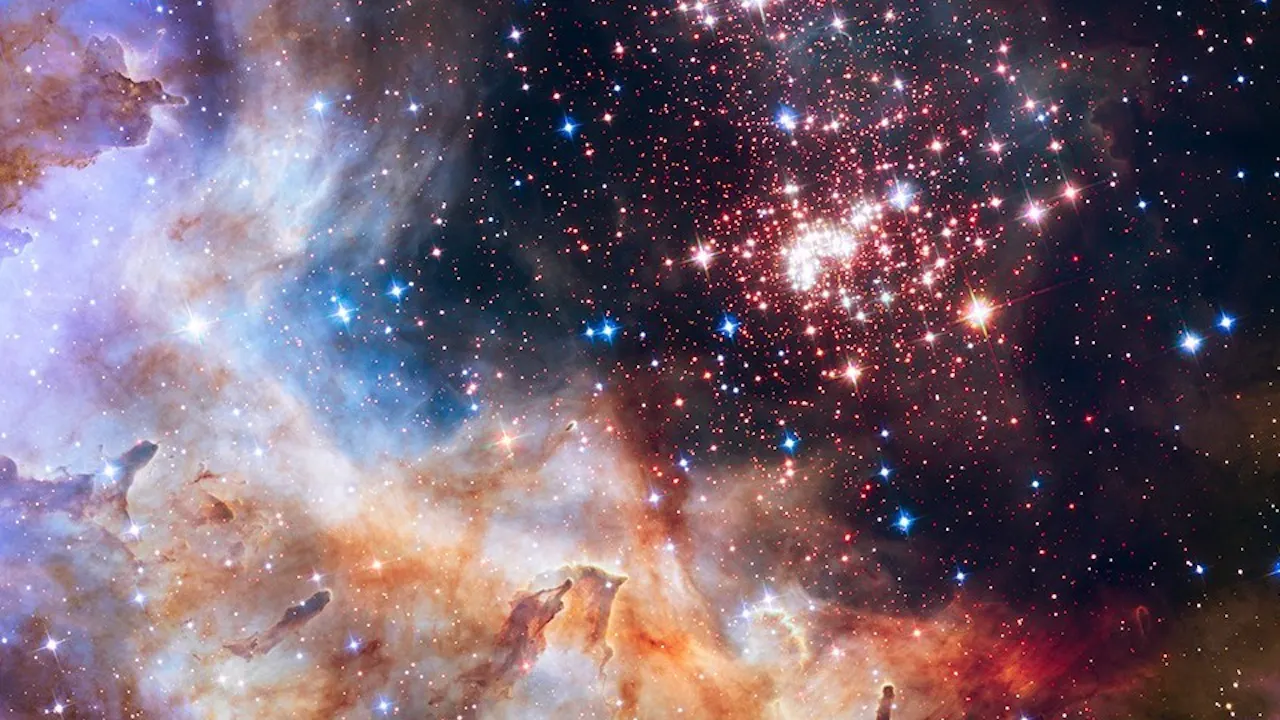 American Museum of Natural History Ticket Location