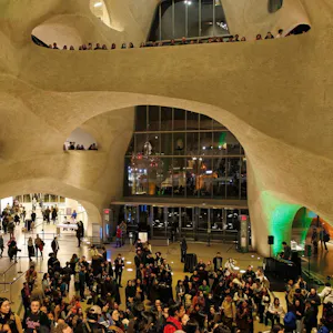 American Museum of Natural History Ticket