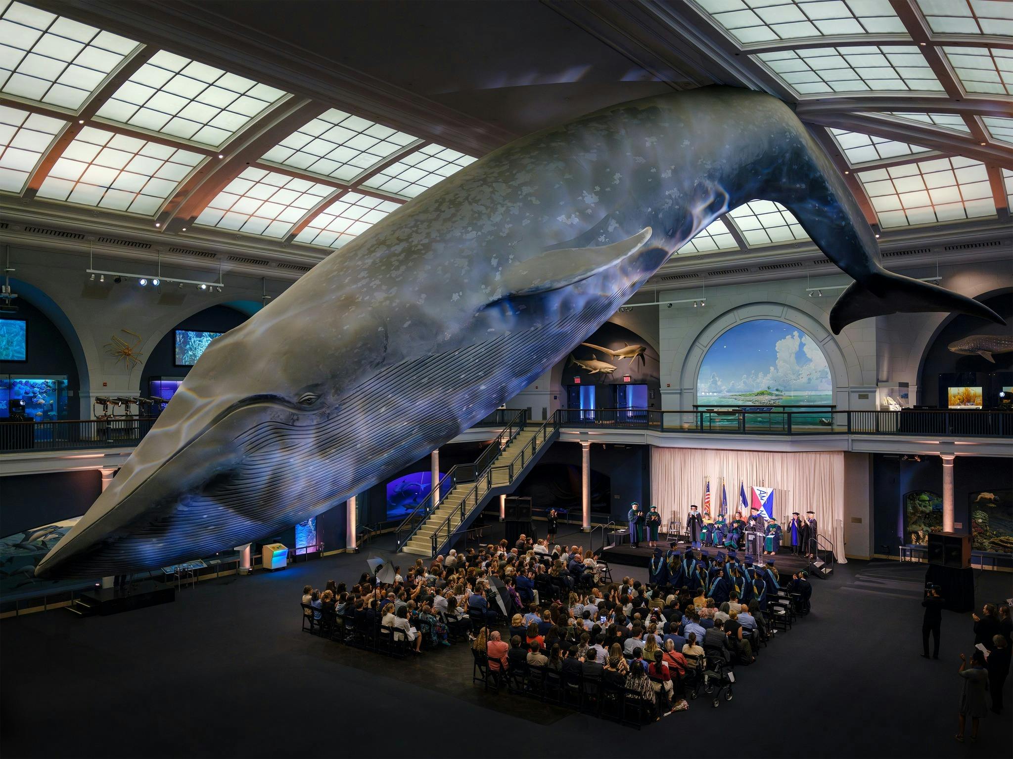 American Museum of Natural History Ticket Category