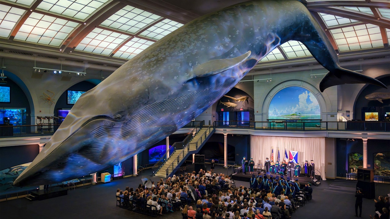 American Museum of Natural History Ticket Category