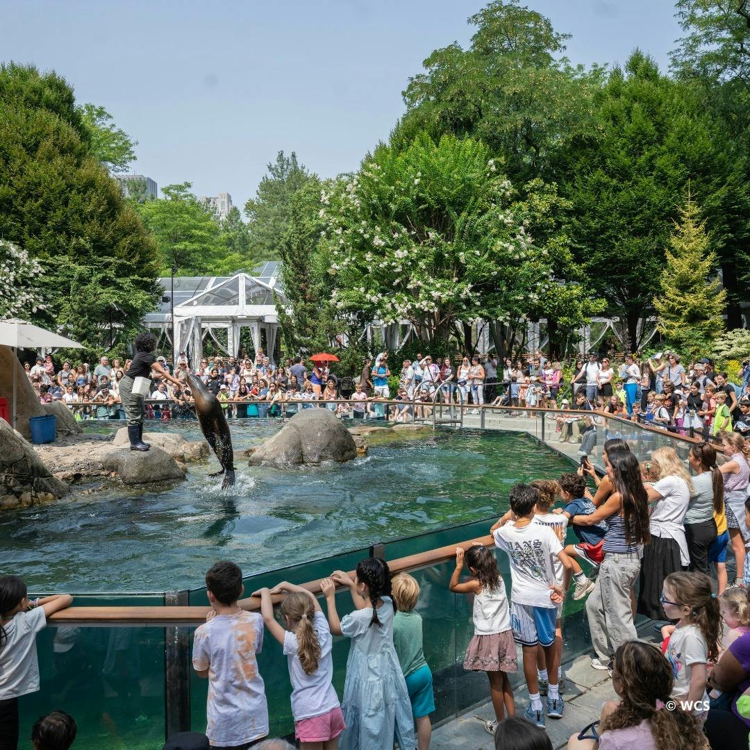 Central Park Zoo Ticket Thrillark