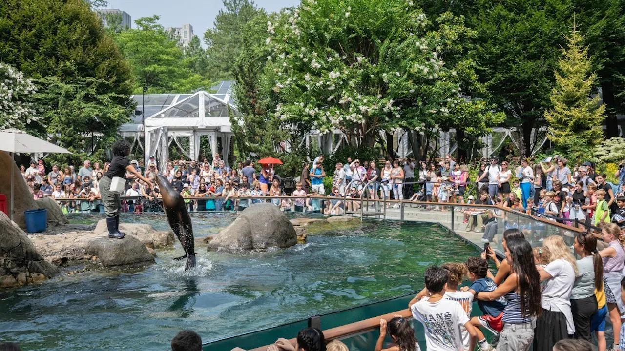 Central Park Zoo Ticket Thrillark