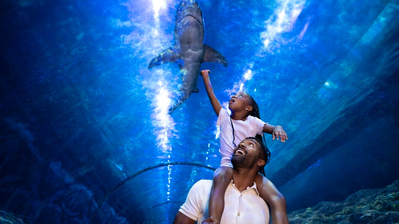 SeaWorld Orlando Ticket: Direct Entry + Optional All-Day Dining Deal + Multi-Park Discount Ticket Ticket