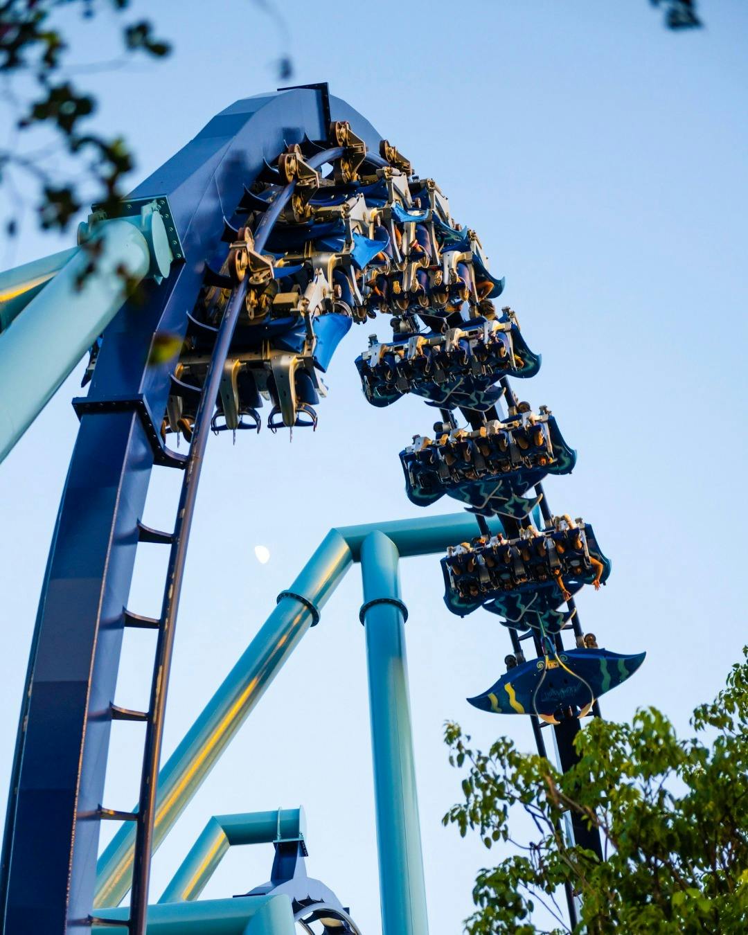 SeaWorld Orlando Ticket: Direct Entry + Optional All-Day Dining Deal + Multi-Park Discount Ticket Category