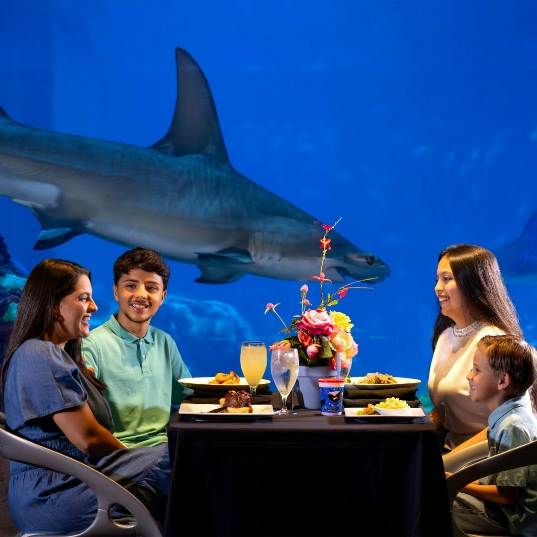 SeaWorld Orlando Ticket: Direct Entry + Optional All-Day Dining Deal + Multi-Park Discount Ticket Discount