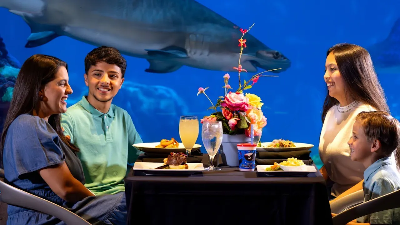 SeaWorld Orlando Ticket: Direct Entry + Optional All-Day Dining Deal + Multi-Park Discount Ticket Discount
