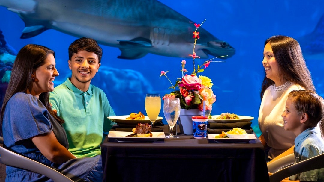 SeaWorld Orlando Ticket: Direct Entry + Optional All-Day Dining Deal + Multi-Park Discount Ticket Discount