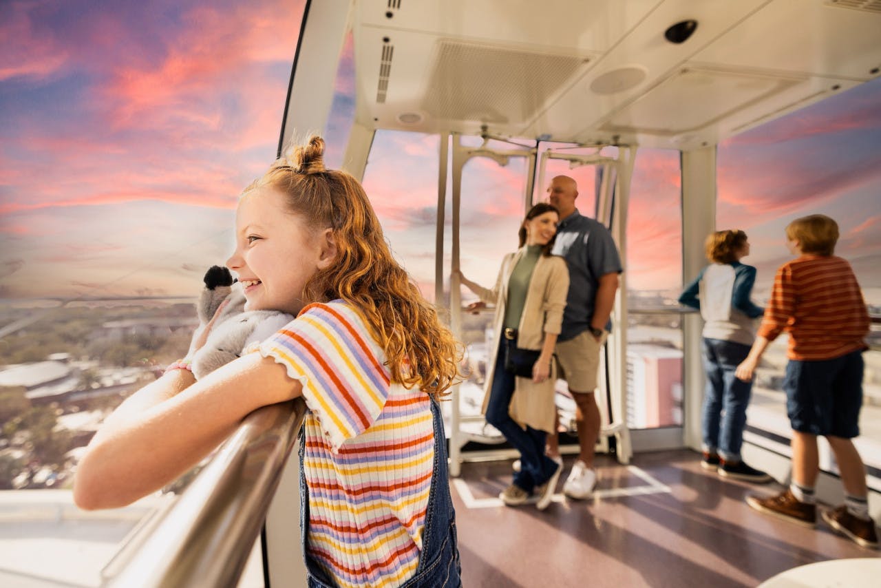 COMBO: The Orlando Eye + SEA LIFE Orlando Aquarium Ticket Price