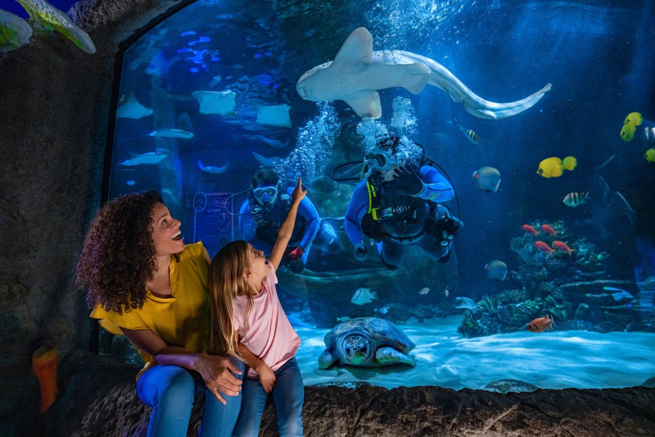COMBO: Madame Tussauds Orlando + SEA LIFE Orlando Aquarium Ticket 
