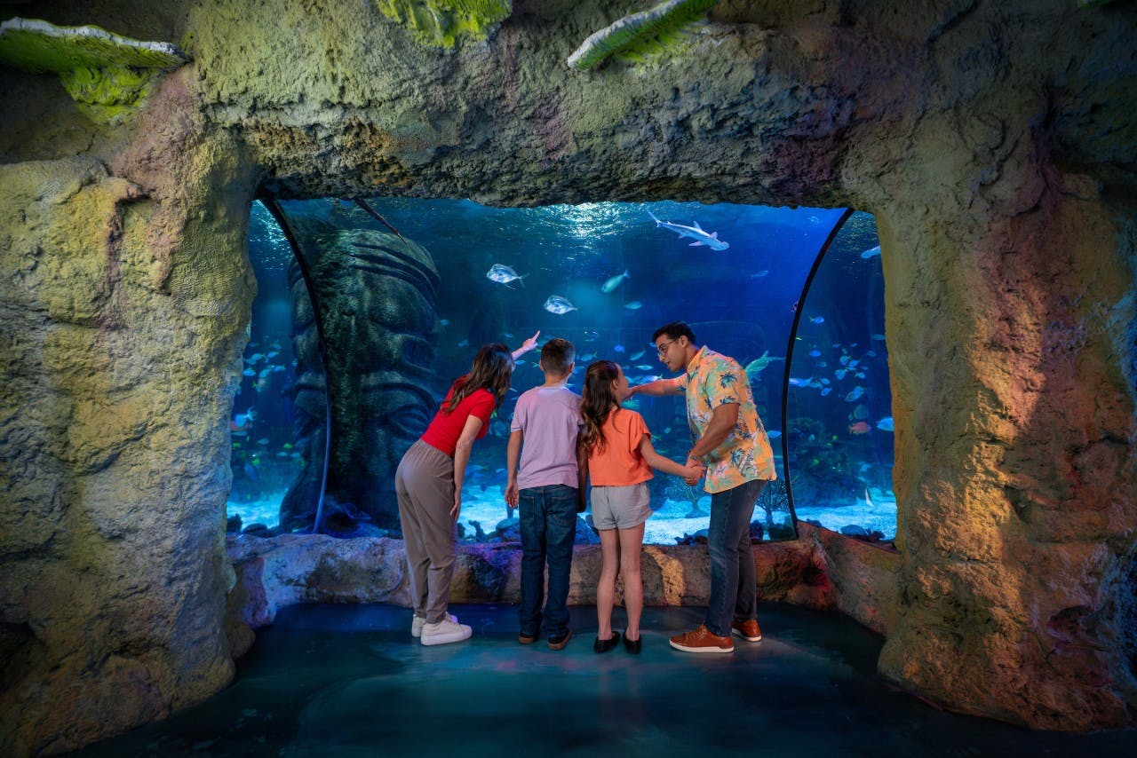 COMBO: Madame Tussauds Orlando + SEA LIFE Orlando Aquarium Ticket Review