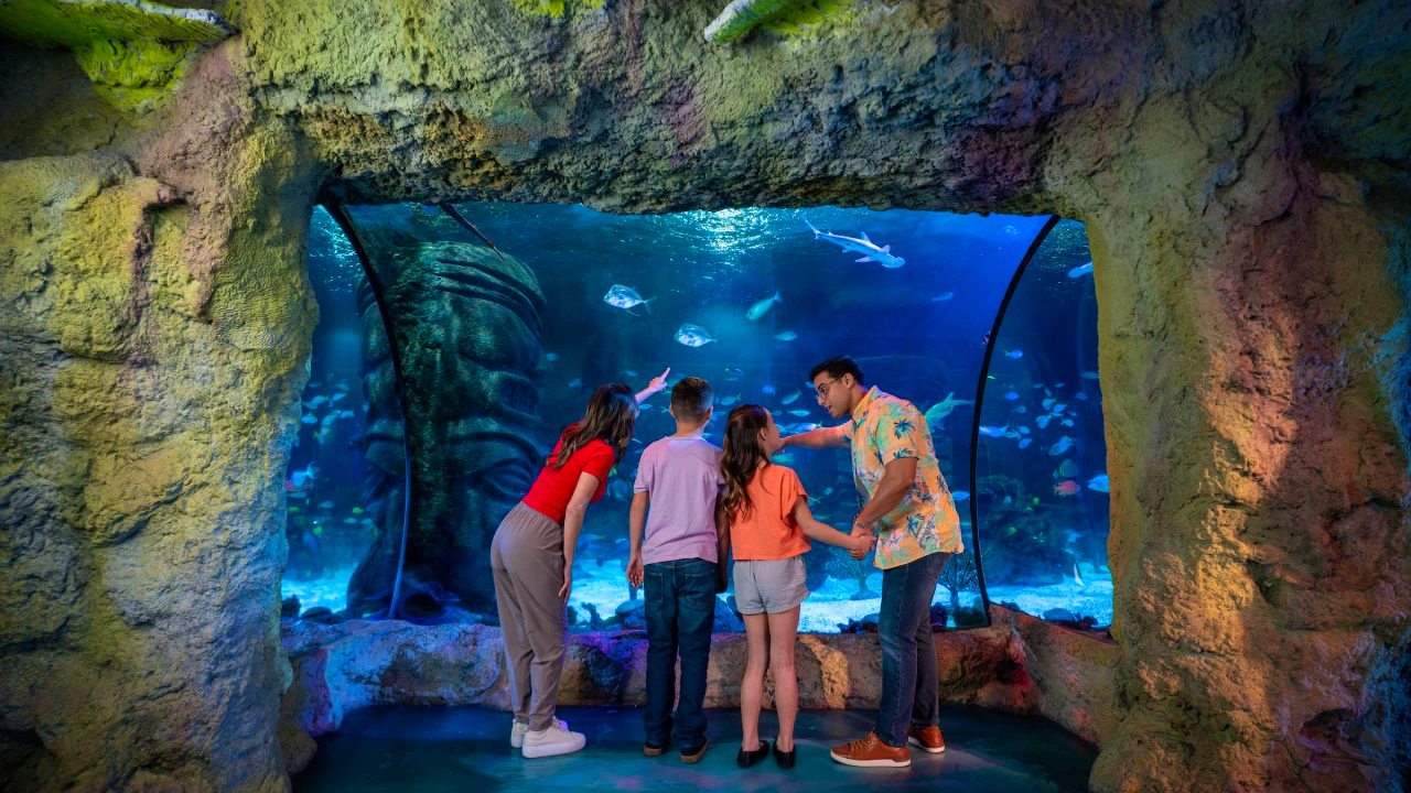 COMBO: Madame Tussauds Orlando + SEA LIFE Orlando Aquarium Ticket Review