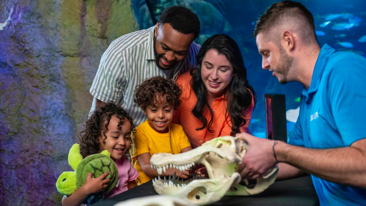 COMBO: Madame Tussauds Orlando + SEA LIFE Orlando Aquarium Ticket