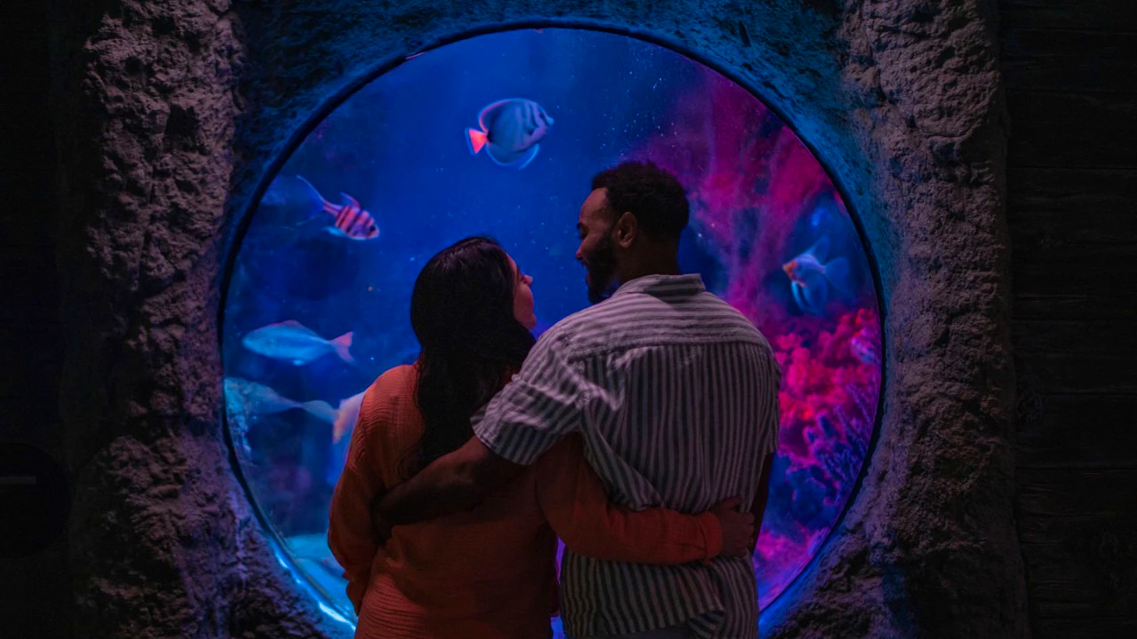 COMBO: Madame Tussauds Orlando + SEA LIFE Orlando Aquarium Ticket