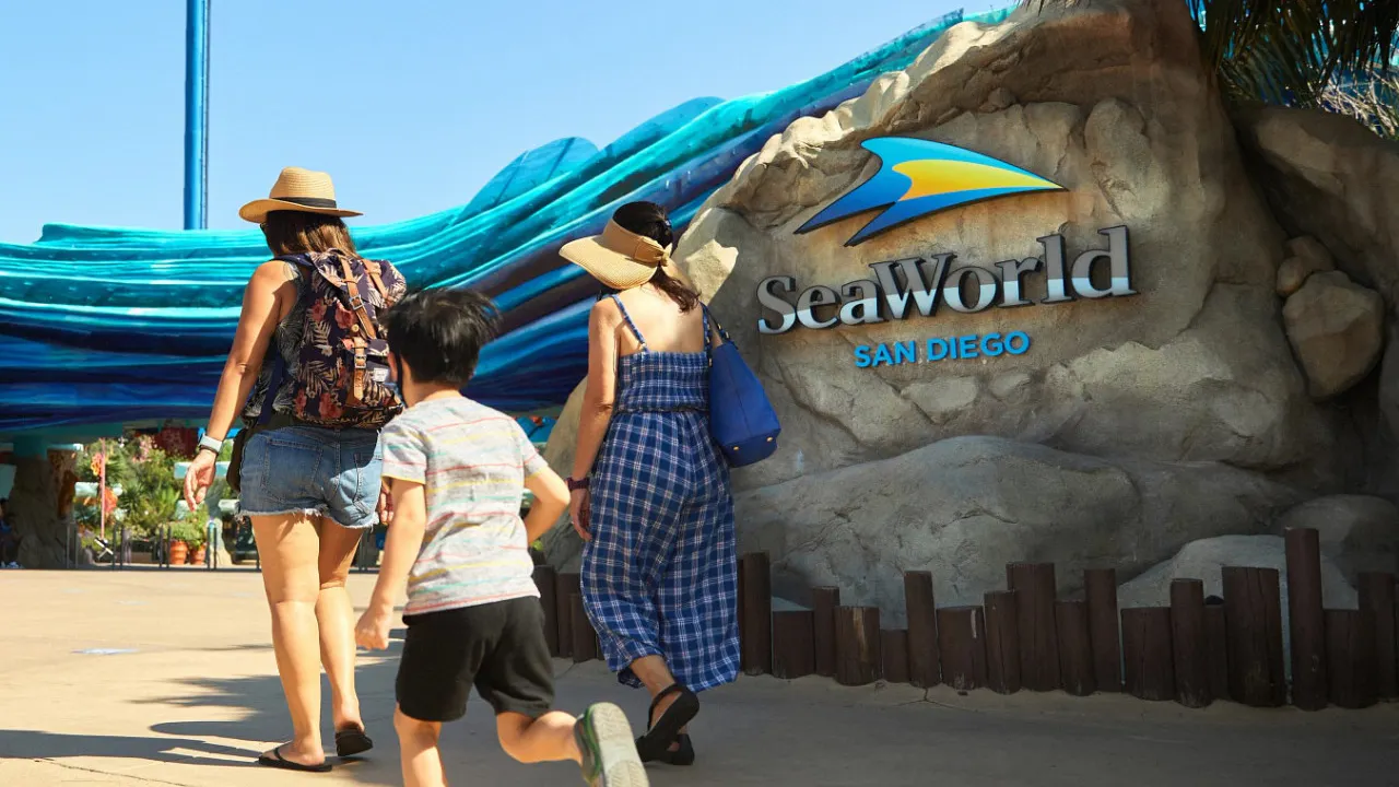 SeaWorld San Diego Ticket: Direct Entry