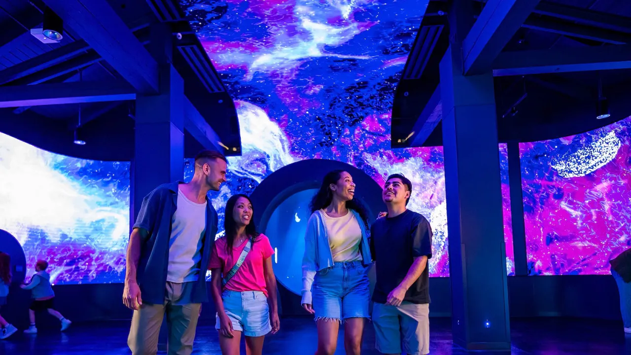 SeaWorld San Diego Ticket: Direct Entry Discount