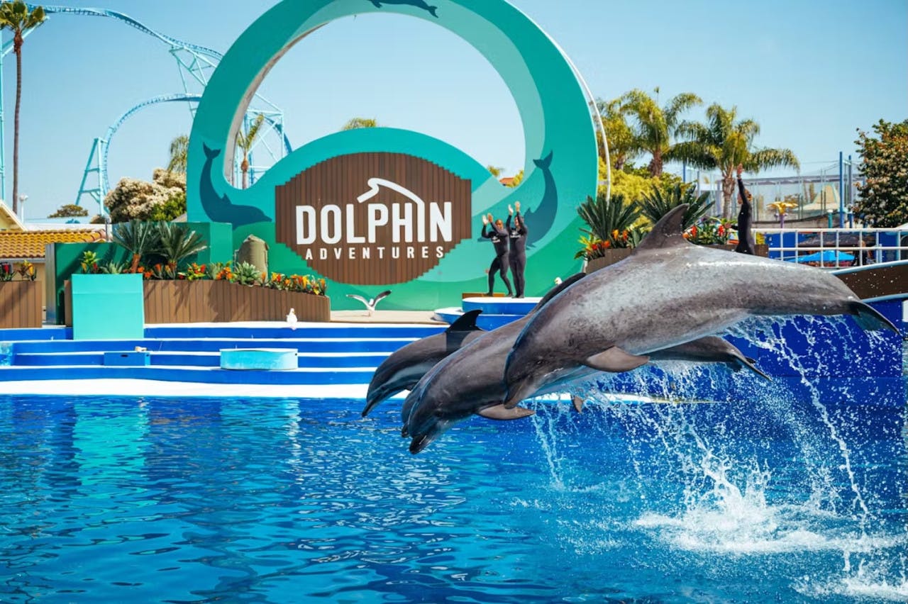 SeaWorld San Diego Ticket: Direct Entry  Category