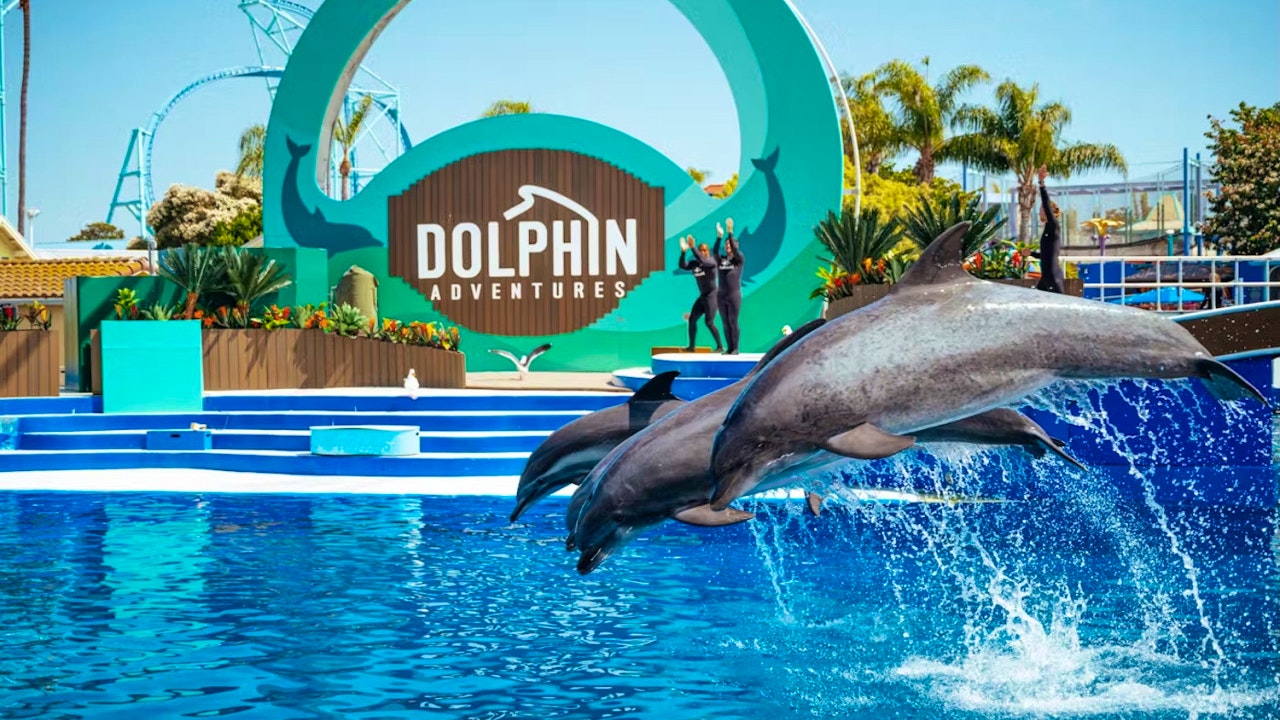 SeaWorld San Diego Ticket: Direct Entry Category