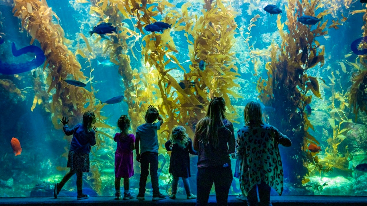 San Diego CityPASS Ticket