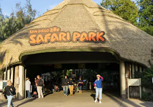 San Diego Zoo Safari Park Ticket