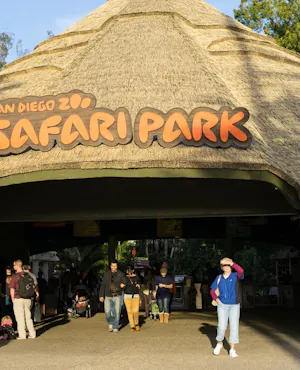 San Diego Zoo Safari Park Ticket