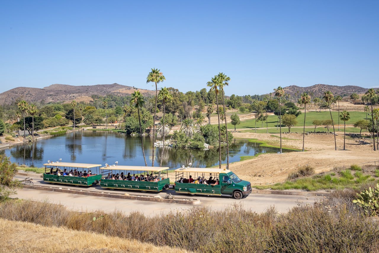 San Diego Zoo Safari Park Ticket Price