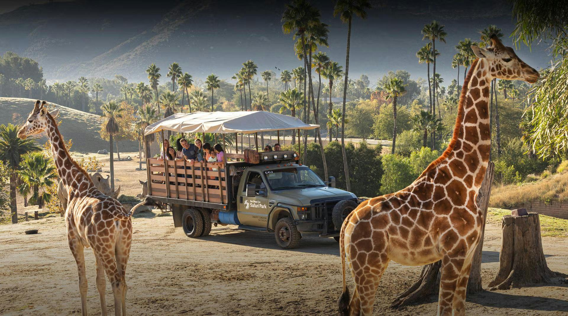 San Diego Zoo Safari Park Ticket
