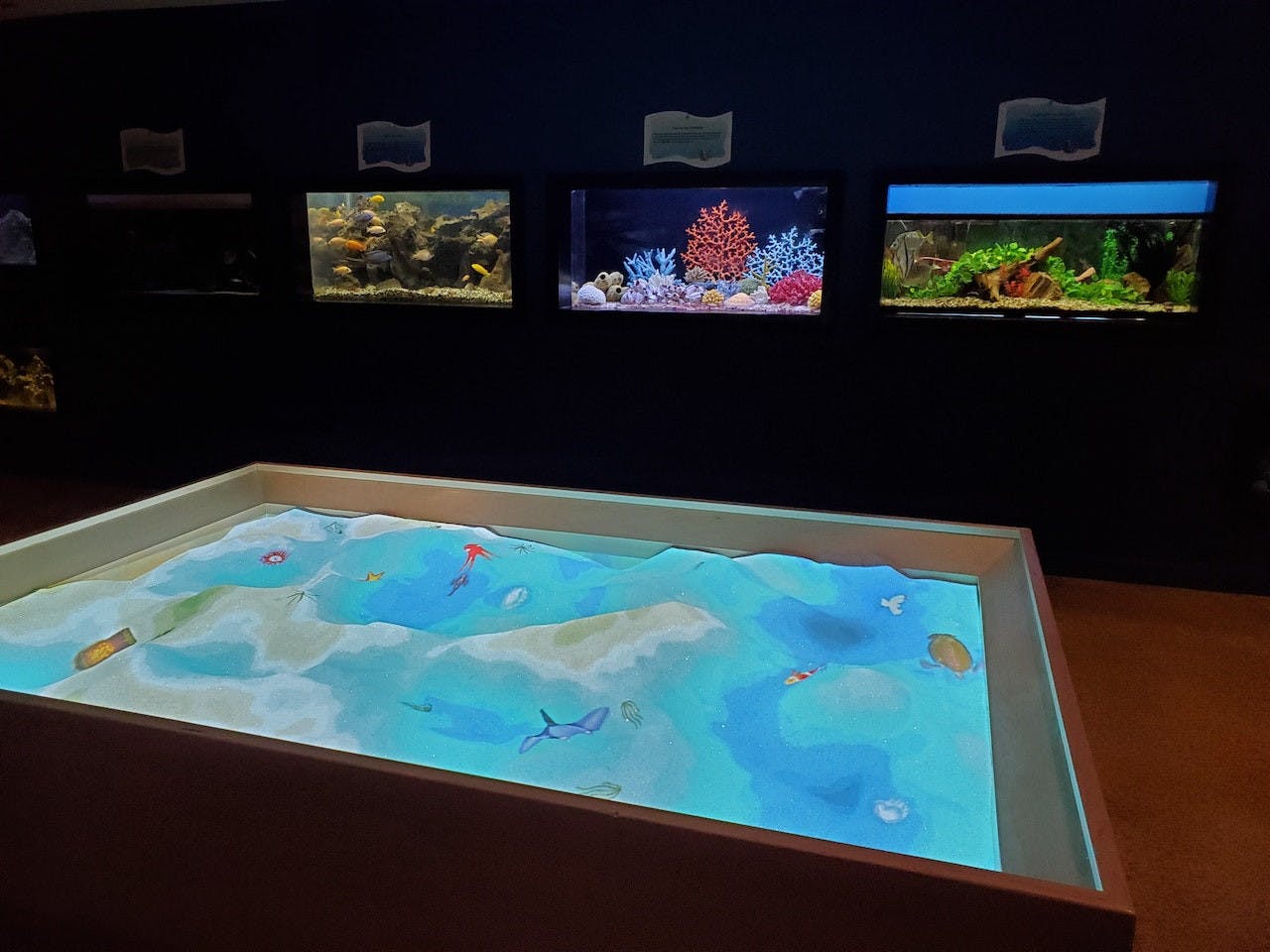 Las Vegas Natural History Museum Ticket Discount