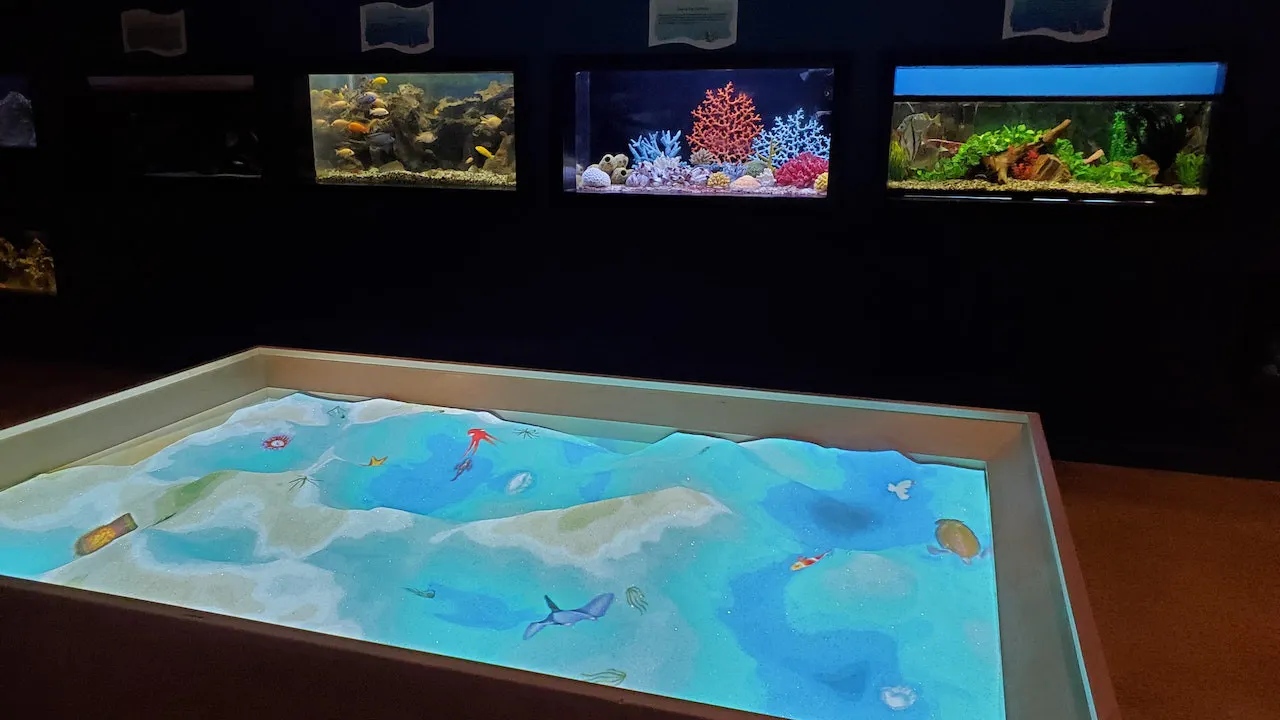 Las Vegas Natural History Museum Ticket Discount