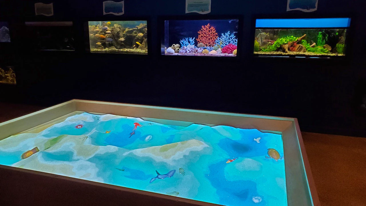 Las Vegas Natural History Museum Ticket Discount