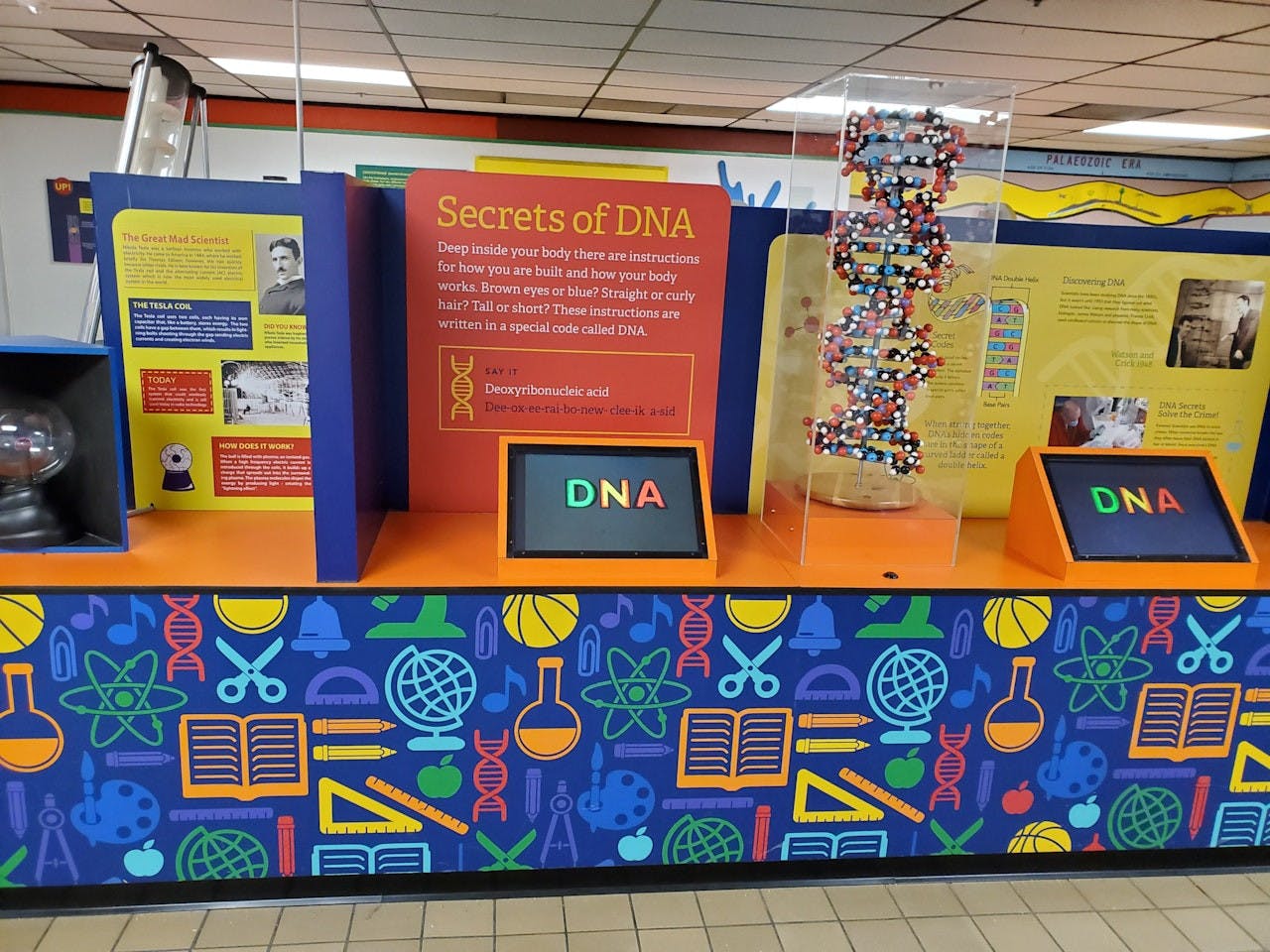 Las Vegas Natural History Museum Ticket Ticket