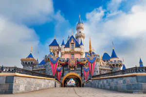 Disneyland Park and Disney California Adventure Park Ticket