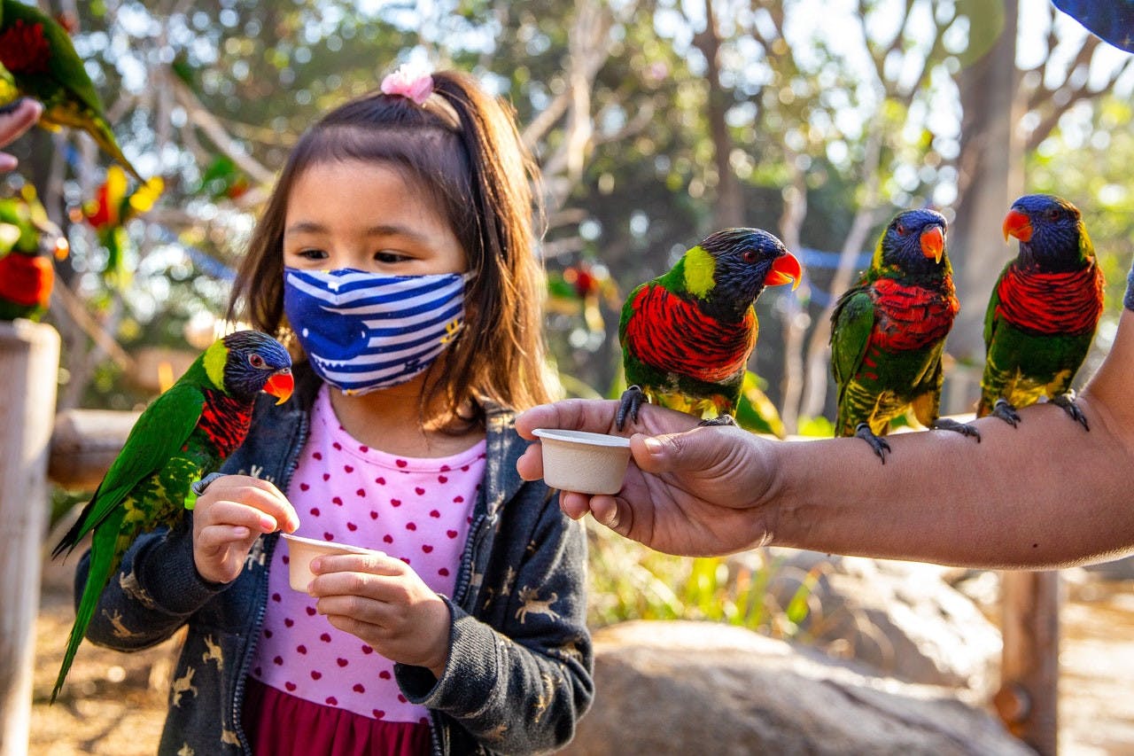 Skip The Line Ticket - Aquarium of the Pacific Ticket