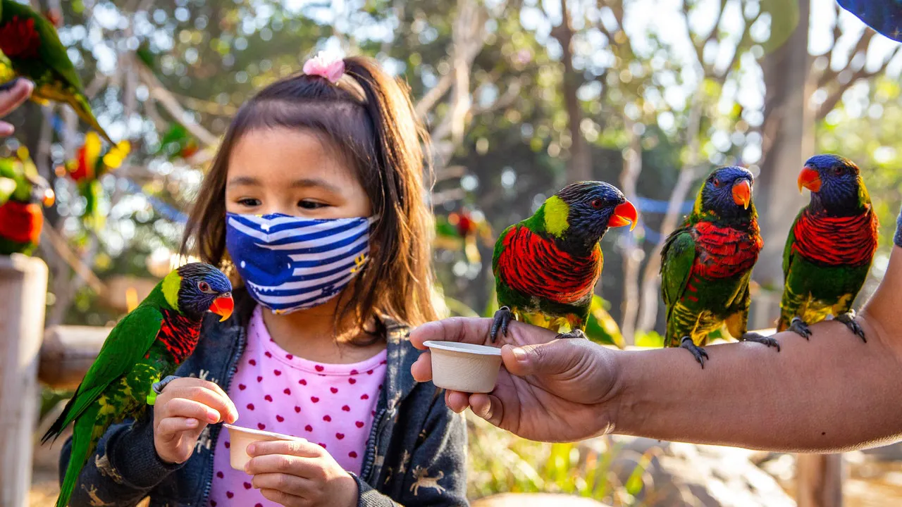 Skip The Line Ticket - Aquarium of the Pacific Ticket